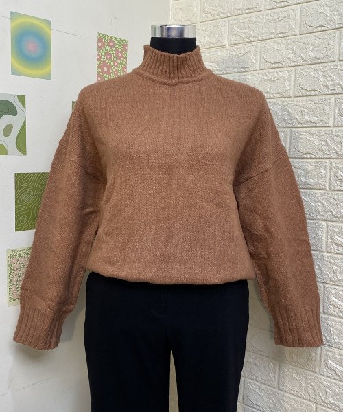 Turtle Neck Neck Knitted Pullover