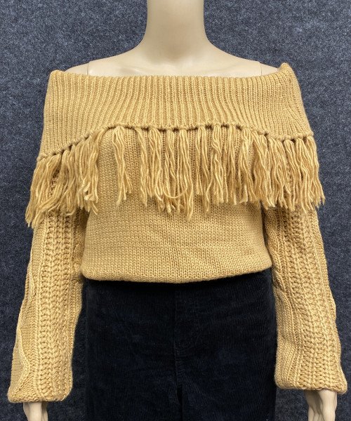 Women  Brown Knitted Pullover