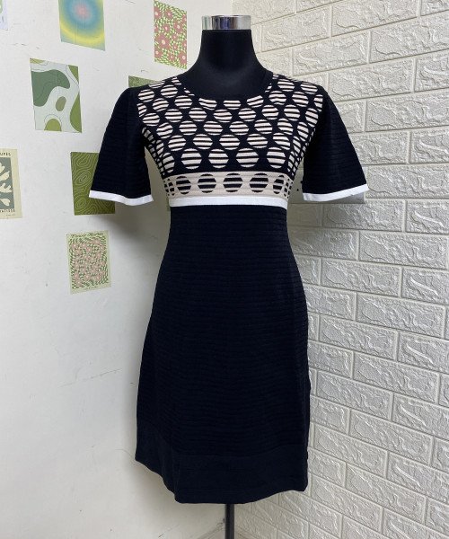 Woman Black Winter Dress