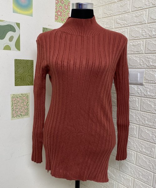 Turtle Neck Winter Dress